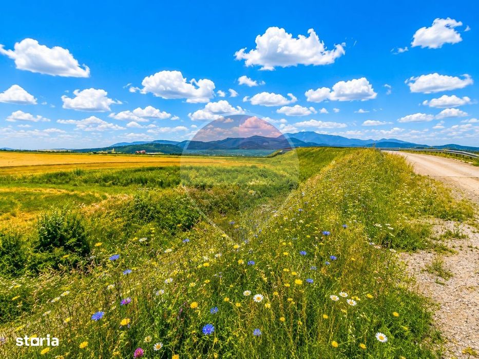Teren extravilan 17,000mp Rasnov langa Autostrada A3, zona industriala