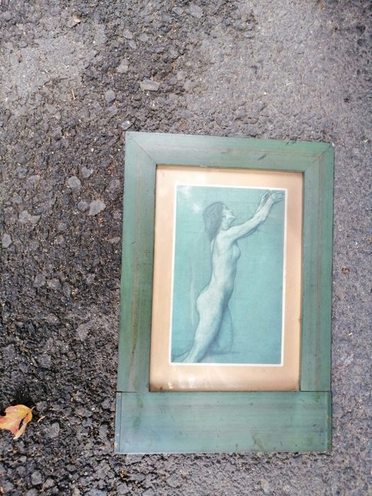 Tablou rama foto pictura pe panza car cu boi,nud ,florar