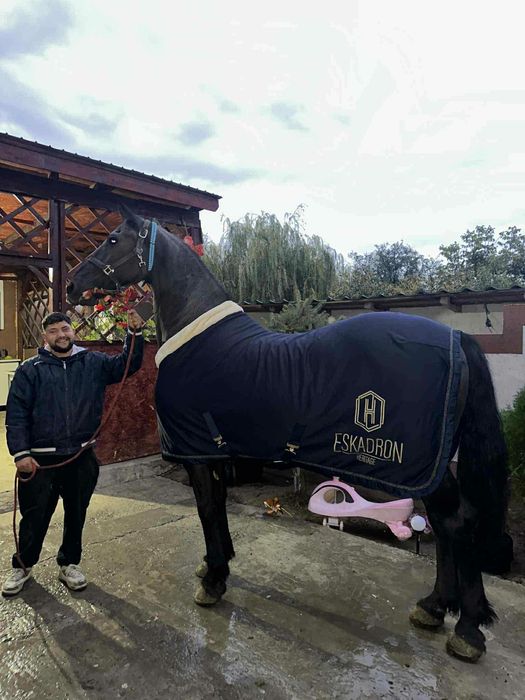 Vand Cal Frizian‼️ Zoro