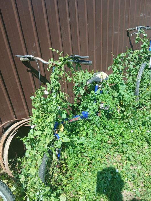 Biciclete 250 pret neg