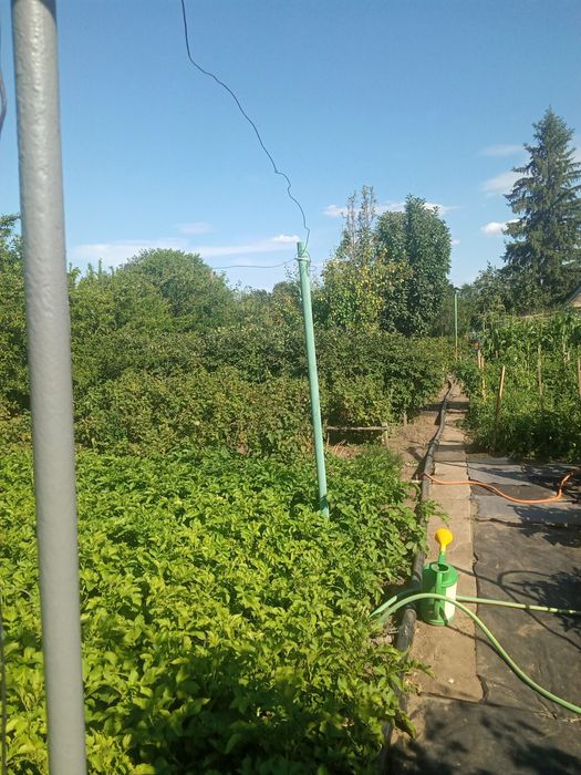 Продам дачу в районе Кривого озера