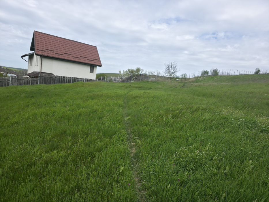 Teren de vânzare Bogonos Iași