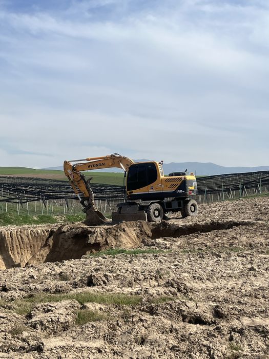 Суслиги эксковатыр