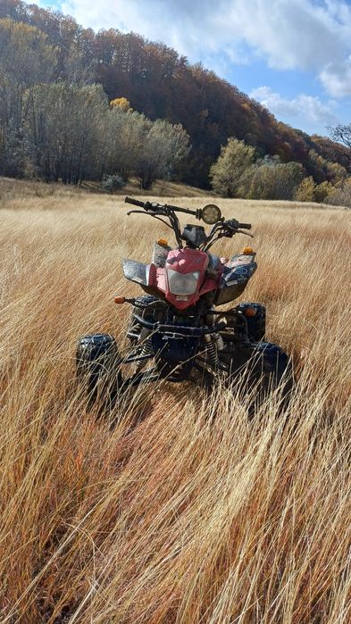Vând atv bashan 250cc răspund la telefon și la mesaje pe whatsapp