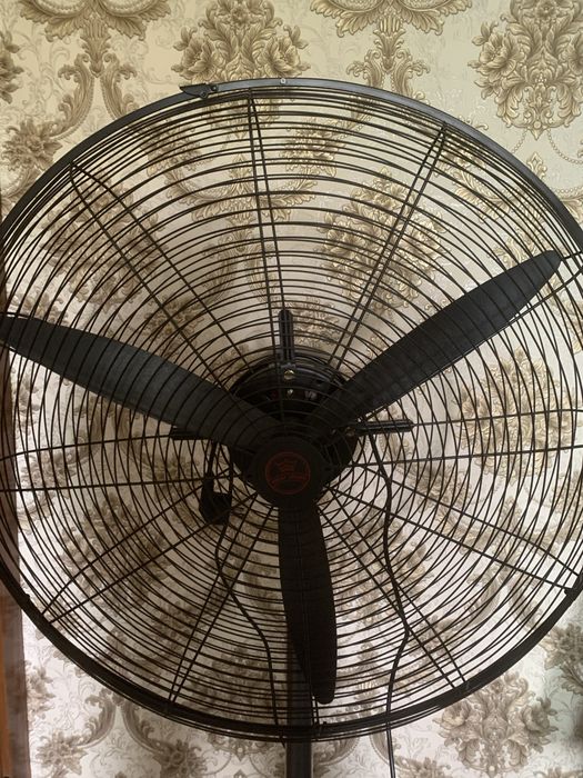 ventilyator yangidek