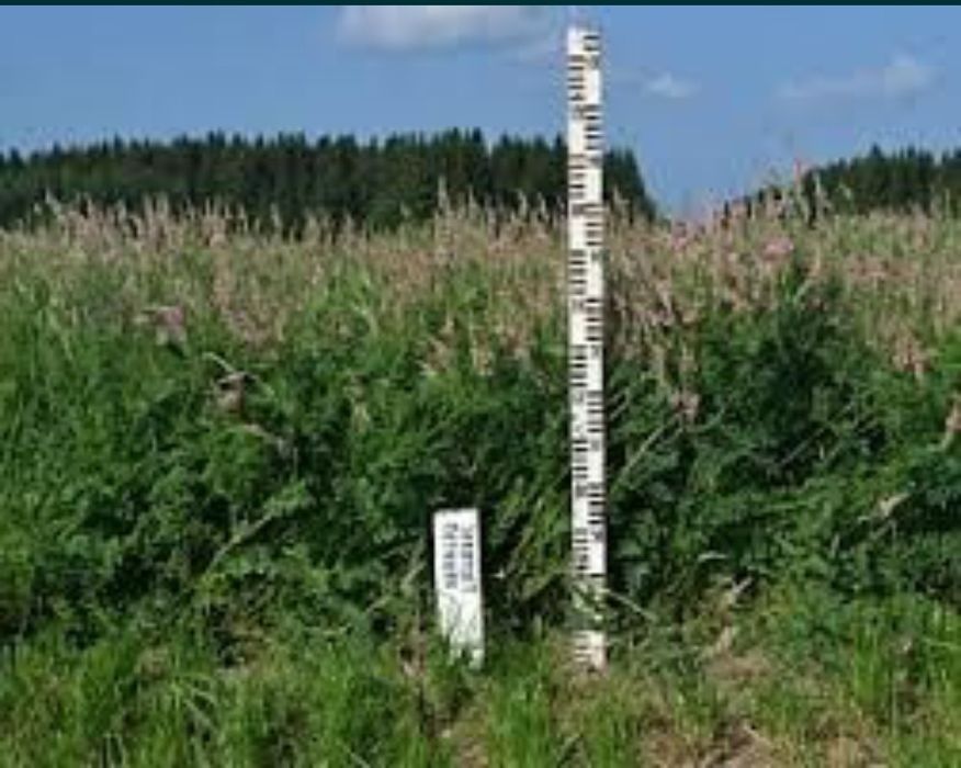 Продаем семена Эспарцет