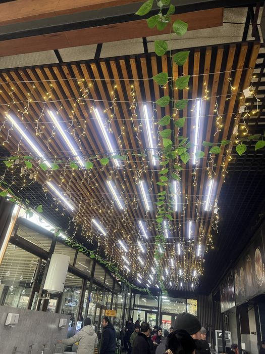 Гирлянда Бахрома 3х0.5 в ассортименте