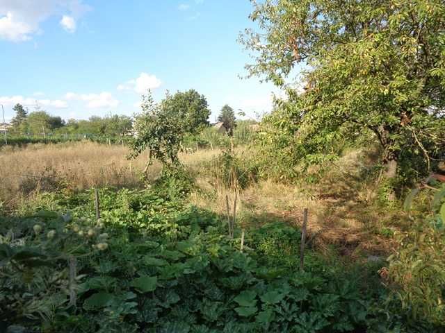 Продава се Парцел в Търговище, Център - 965 кв.м за 32 €/кв.м - Снимка #3