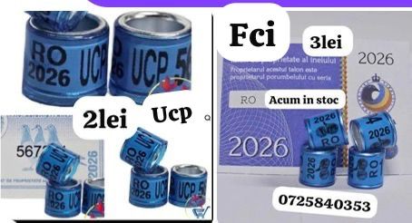 Sistem de usi culisante si role