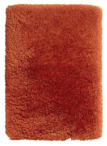 Covor Think Rugs Polar PL95 Terra 150x230 cm – Shaggy Premium – Nou