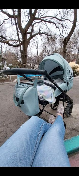 Коляска Adamex Remini