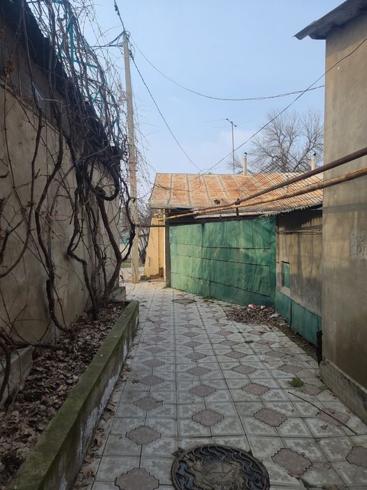 Земля 1.7 сот. Ресторан Элис . Шастри .задняя сторона ресторана Элис.