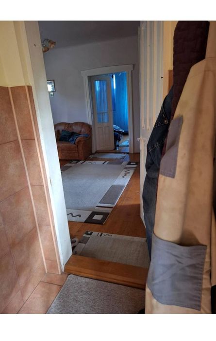 Proprietate mixtă, locuință + spații comerciale,atelier , Sântana