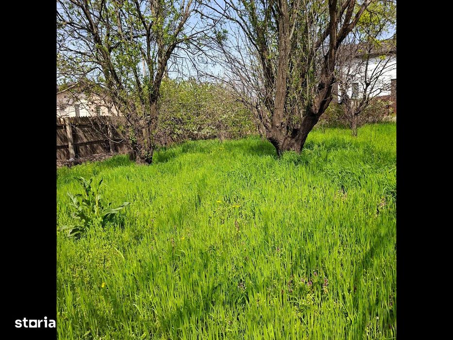 Teren Centura de Nord