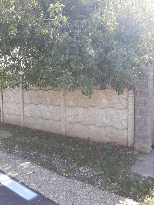 De vanzare casa in sat Olosig