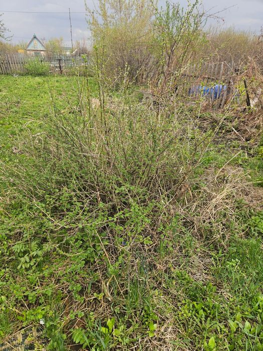 Продам дачу, общество комета