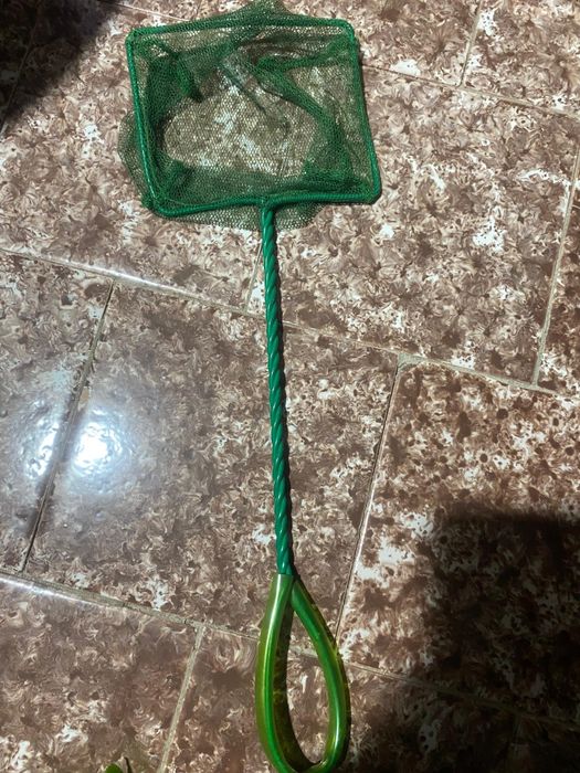 Vând  plante art+ magneți curățat geamu+pompa manuala. ri + lopatica p