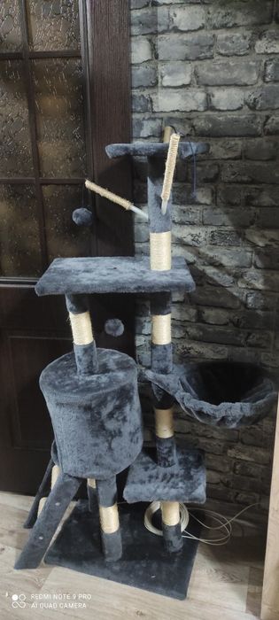 Когтеточка большая