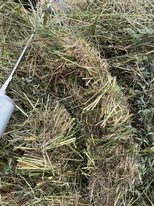 Baloti de lucerna ecologica infoliata - semifân, siloz și fan - uscata