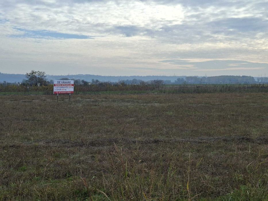 Teren intravilan 2 Parcele de 600 metri Salcia, Strada Garofitei