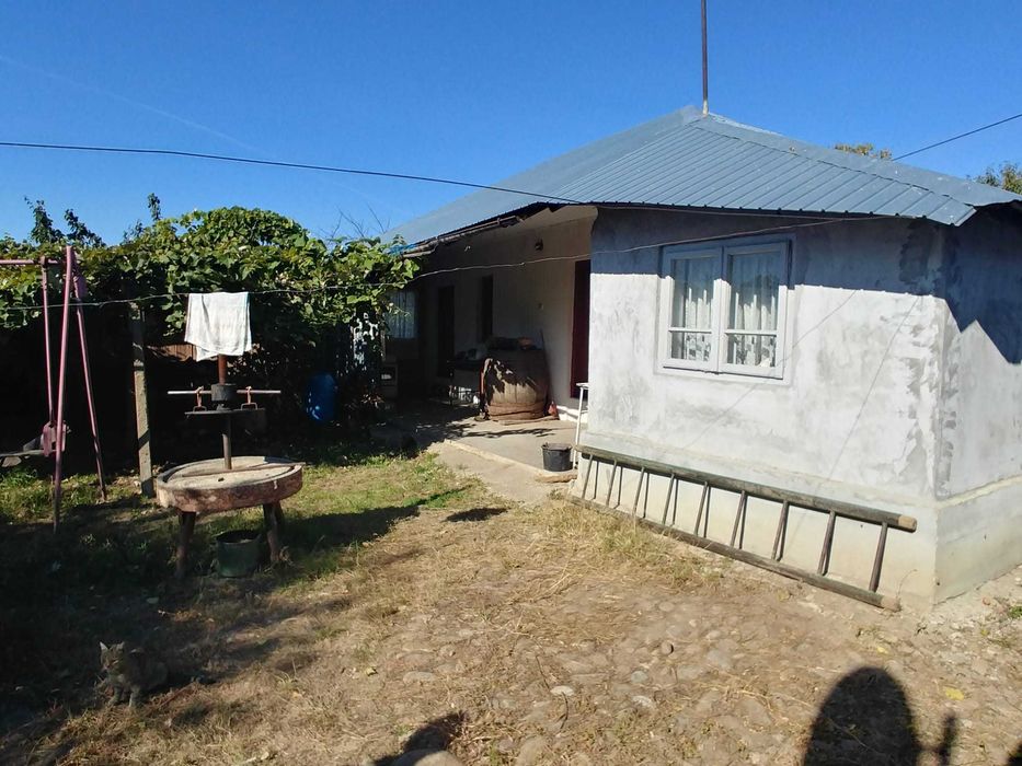 Casa de vanzare la tara, comuna Obrejita/Vrancea