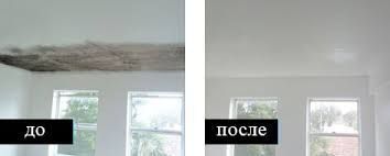 Удоляет плесень и грибоок за 15минут без вреда