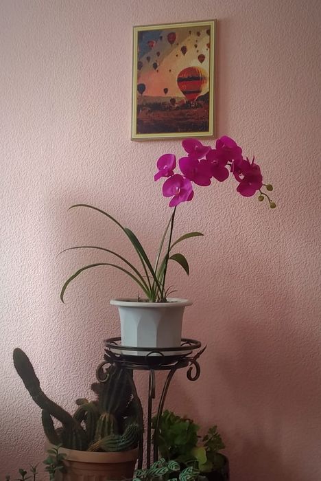 Картина, алмазная мозайка