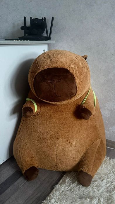 Продам капибару срочно