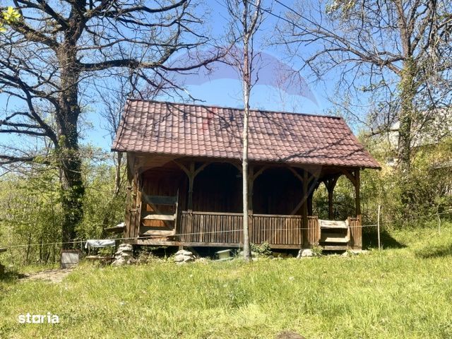 Casa traditionala,teren 6.039 mp DESESTI Maramures
