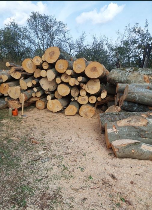 Vând lemne de foc gata sparte
