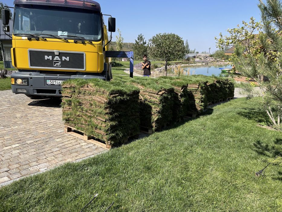 Уклдка газона