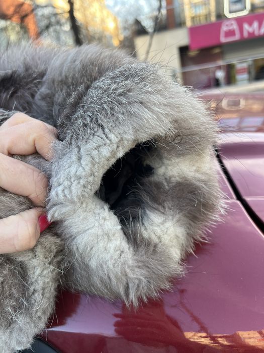 Палто от сребърна лисица