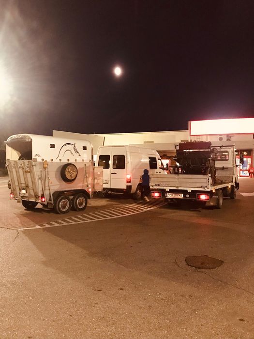 Mercedes utilitara cu remorca pentru cai