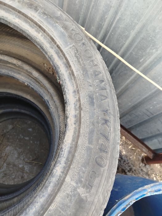 Пакришка летнни 19