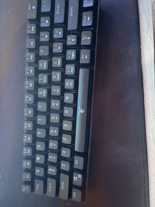 White shark kong kong