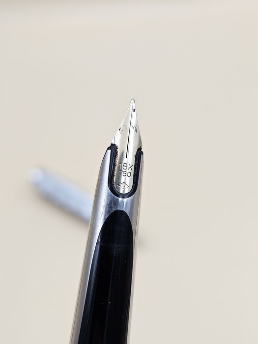 Stilou Waterman penita aur