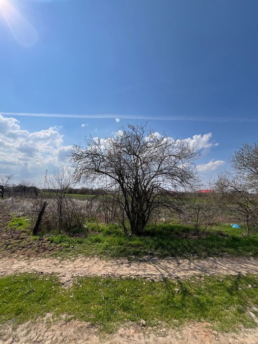 Teren INTRAVILAN Comuna Leu, Dolj