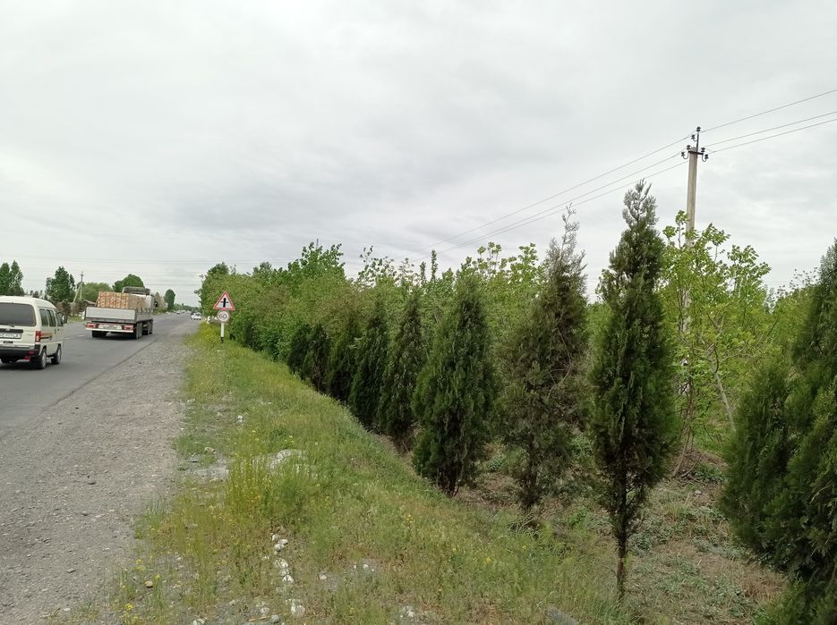 Г.Коканд. Ер майдони сотилади.Катта йул буйида. 35 Сотих Кокон машина