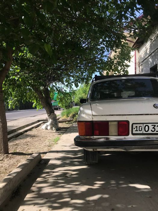 Легендарный Акула