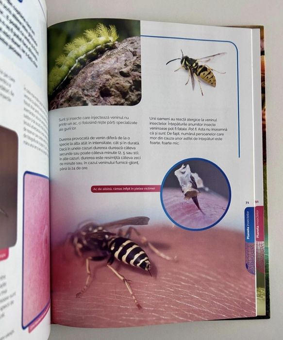 Atlas despre insecte