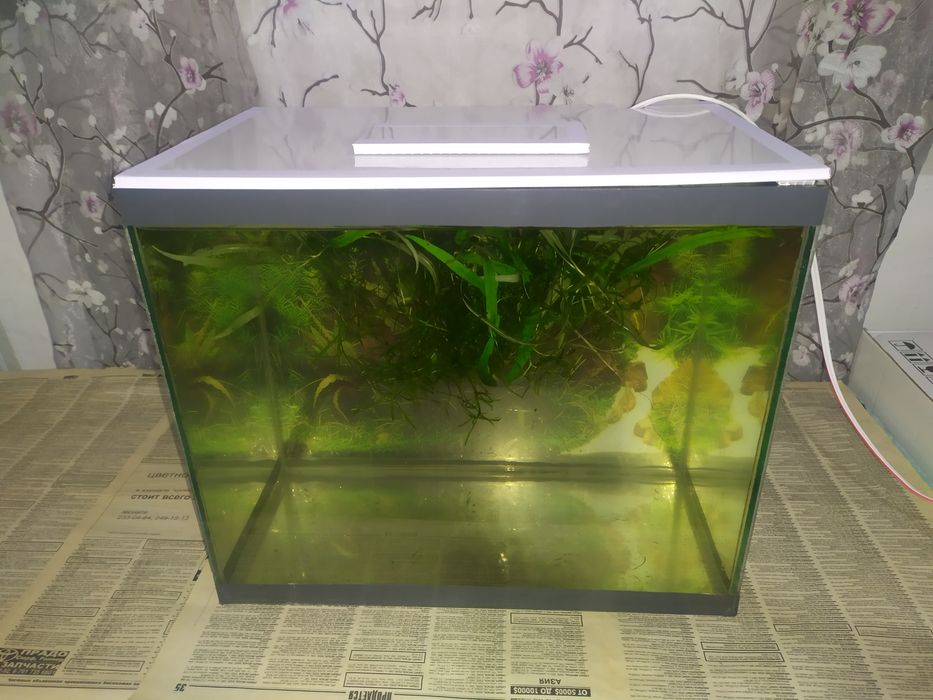 Аквариум 27л + бонусы и рыбки.