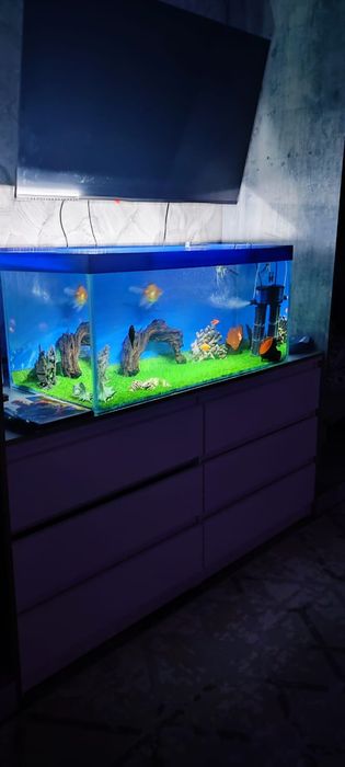 Продам Аквариум 300л