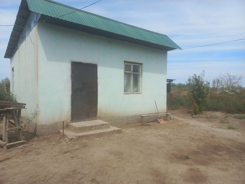 Фазенда. Үй. Жер.