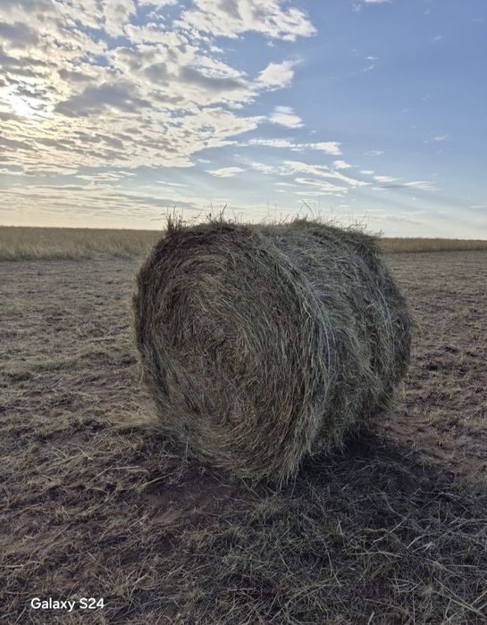 Продам степное сено.