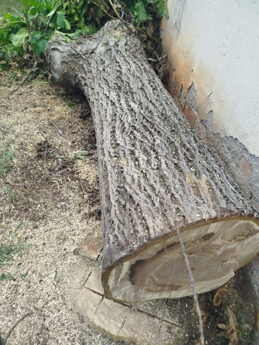 Орехов дънер за мебели