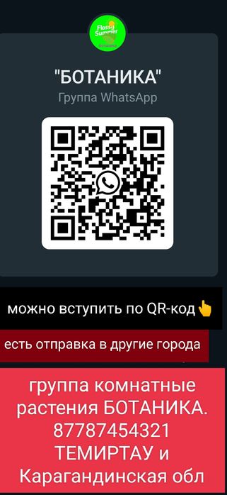 Цветы разные доступные экзоты