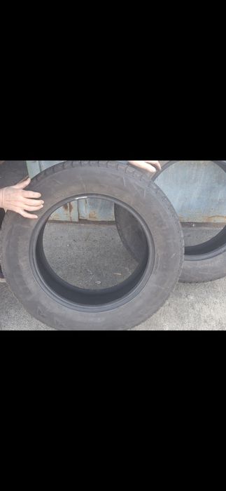 Ризина размер 16