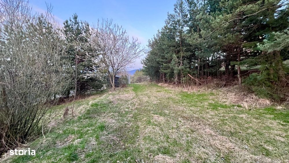 Teren Intravilan 495 mp – Zonă Liniștită - Strada Livezii