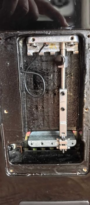 Китара Ibanez RGIR27E къстъм