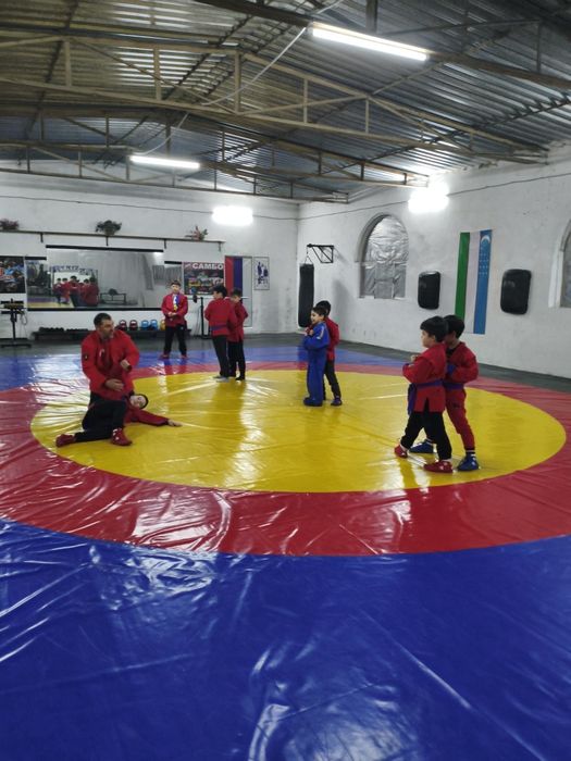 Набор в группу по Боевому Самбо (  техники Бокс , Кикбокс , Борьба )